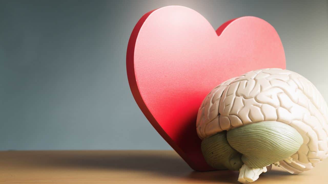 inteligencia emocional: El mayor predictor de éxito